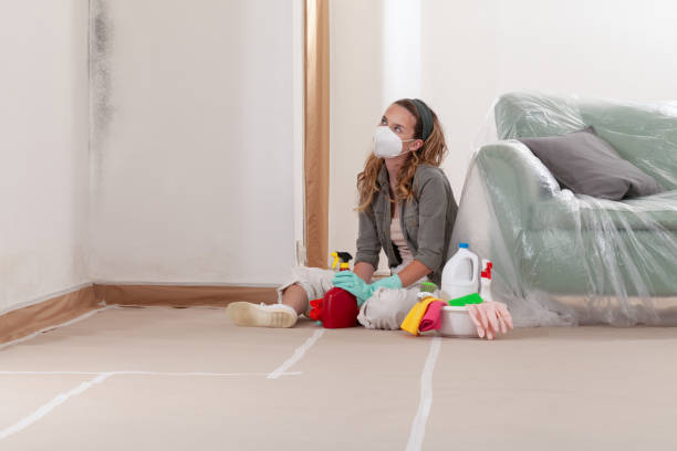 Reliable Mold Inspection contractor in Richwood, TX by WQB Mold Removal
